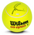 Naomi Osaka Autographed 9" Jumbo Wilson Tennis Ball UDA