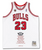 Michael Jordan Autographed 'Career Stats' Embroidered White Jersey UDA LE23