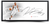 Keldon Johnson Autographed Spurs "The Show" Framed "46 x 20" Display UDA