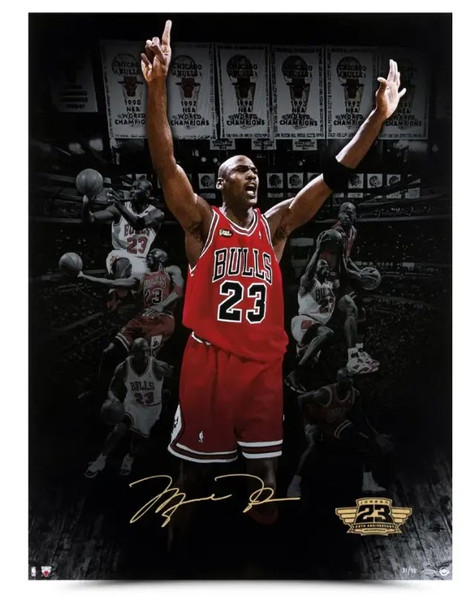 Michael Jordan Autographed Nike Air Jordan 1 High Dior LE 6 Upper