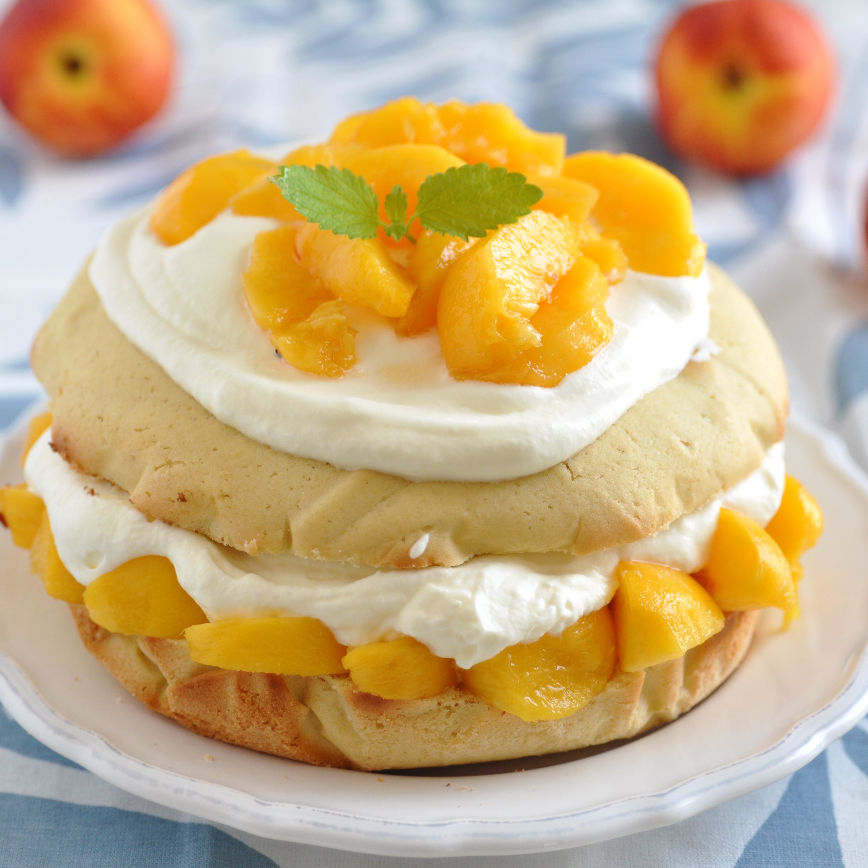 Peach Shortcake - Jake & Amos