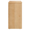 EEI-6537 Appia 2-Door Arched Door Storage Cabinet by Modway