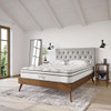 MOD-5770-WHI Jenna 10" Innerspring and Foam Queen Mattress by Modway