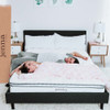 MOD-5770-WHI Jenna 10" Innerspring and Foam Queen Mattress by Modway