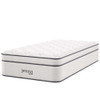 MOD-6082-WHI Jenna 14" Innerspring and Foam Twin Mattress by Modway