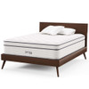MOD-6084-WHI Jenna 14" Innerspring and Foam Queen Mattress by Modway