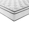 MOD-6084-WHI Jenna 14" Innerspring and Foam Queen Mattress by Modway