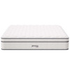 MOD-6085-WHI Jenna 14" Innerspring and Foam King Mattress by Modway