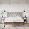 MOD-6135-WHI Jenna 8" Innerspring and Foam Queen Mattress by Modway
