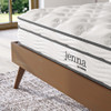 MOD-6135-WHI Jenna 8" Innerspring and Foam Queen Mattress by Modway