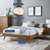 MOD-6228-WAL Margo Wood Twin Platform Bed Frame by Modway