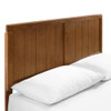 MOD-6378-WAL Alana Wood Queen Platform Bed With Angular Frame by Modway