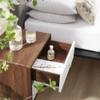 MOD-7017-WAL-WHI Transmit 2-Drawer Nightstand by Modway