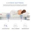MOD-7089-WHI Jenna 12" Innerspring and Foam Queen Mattress by Modway