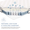 MOD-7095-WHI Jenna 6" Innerspring and Foam Queen Mattress by Modway