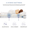 MOD-7095-WHI Jenna 6" Innerspring and Foam Queen Mattress by Modway