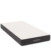 MOD-7107-WHI Aveline 8" Twin XL Mattress by Modway