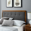 Modway Willow Wood Queen Platform Bed With Splayed Legs by Modway-MOD-6385