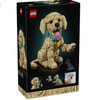 LEGO 11384 Icons Golden Retriever Puppy