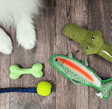 Pet Toys on the floor