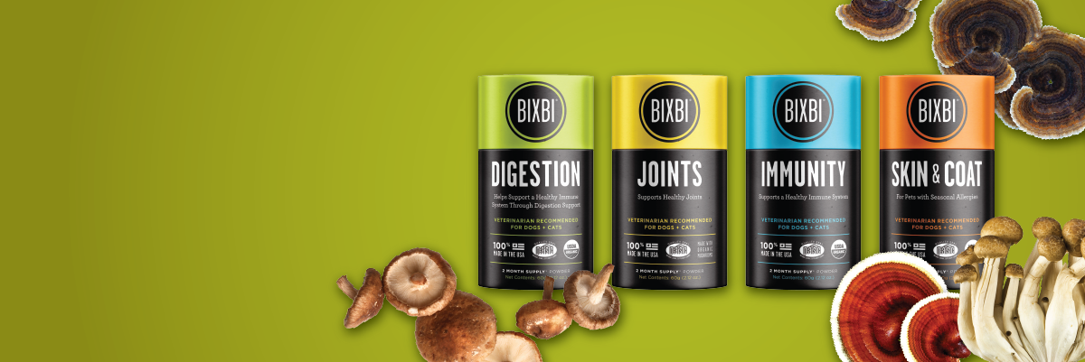 bixbi mushroom