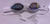 Swimming Goggles