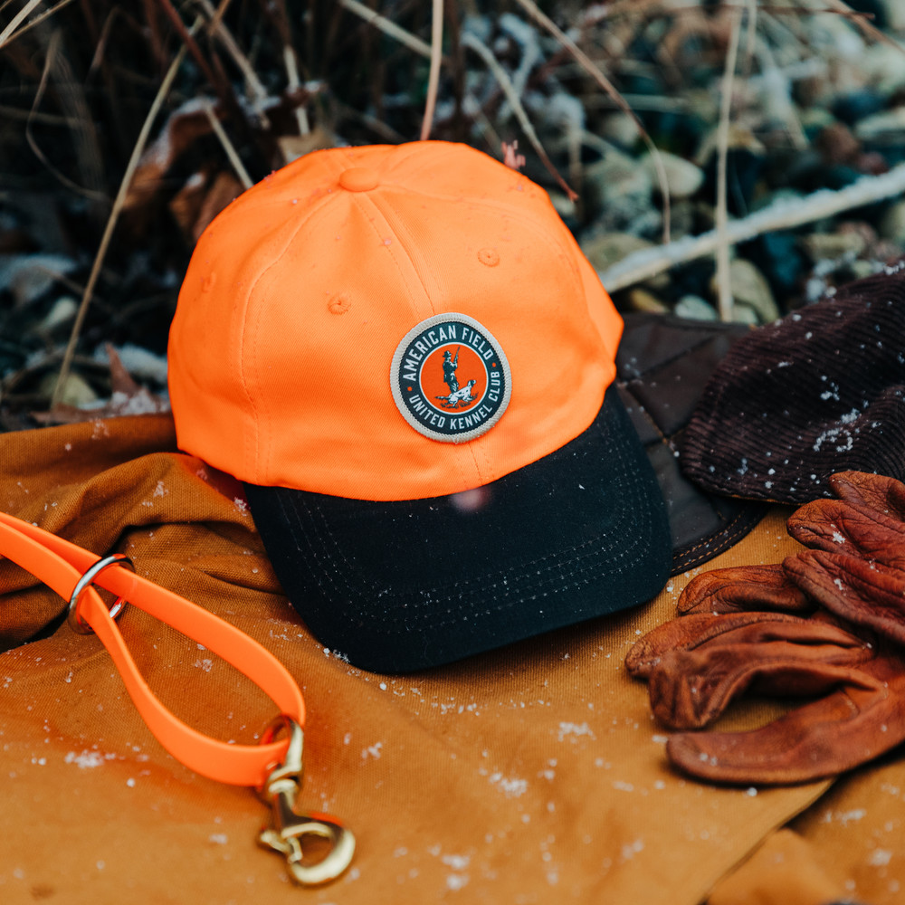 Best blaze deals orange hunting hat