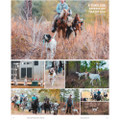 American Field Subscription