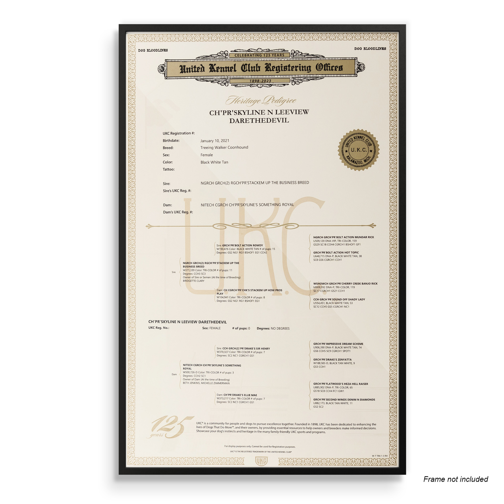 Pedigree Certificate Limited And Full Registration For Dogs Dog
