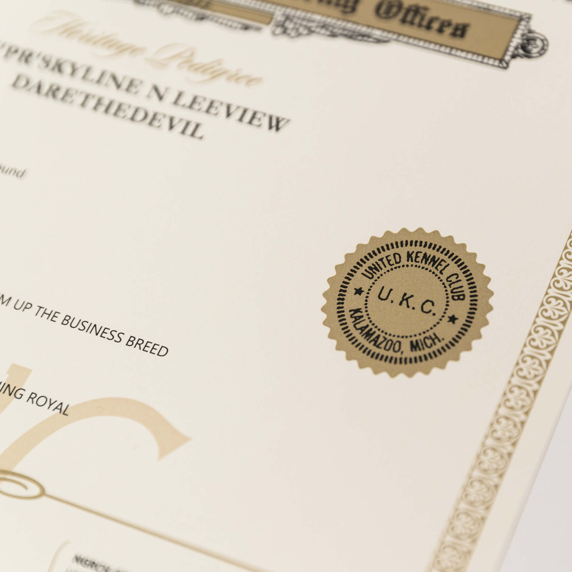 Ordering a Research Pedigree - American Kennel Club