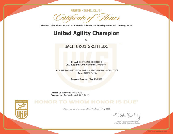 Duplicate Title Certificate, Conformation & Performance Duplicate Title Certificate, Conformation & Performance