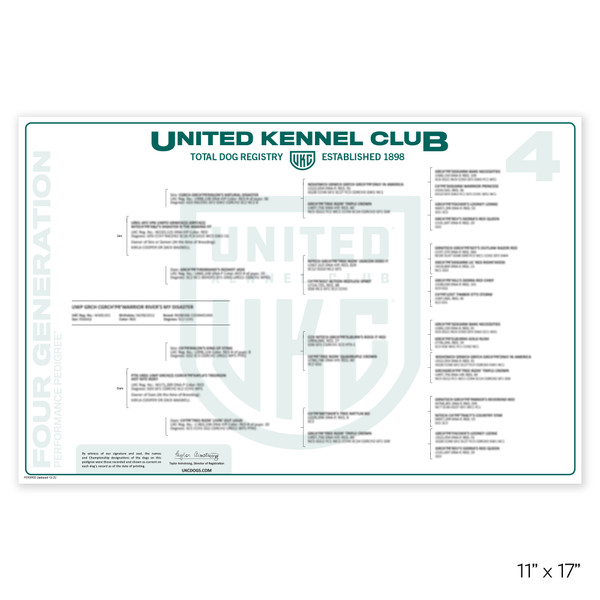 Kennel club shop 5 generation pedigree