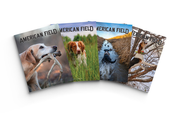 American Field offers a variety of articles for hunting dog enthusiasts.