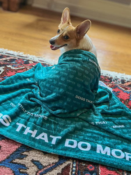 Cozy Velveteen Plush Blanket - Dogs That Do More pattern