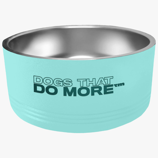 Teal stainless steel pet bowl back