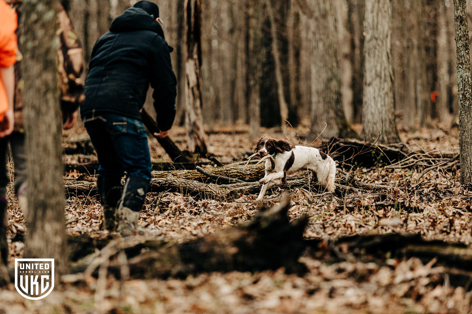 UKC Elite Shed Dog Series Rulebook