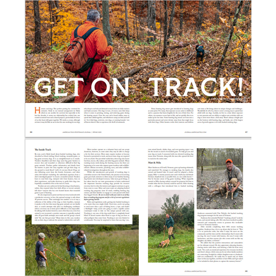 American Field Subscription