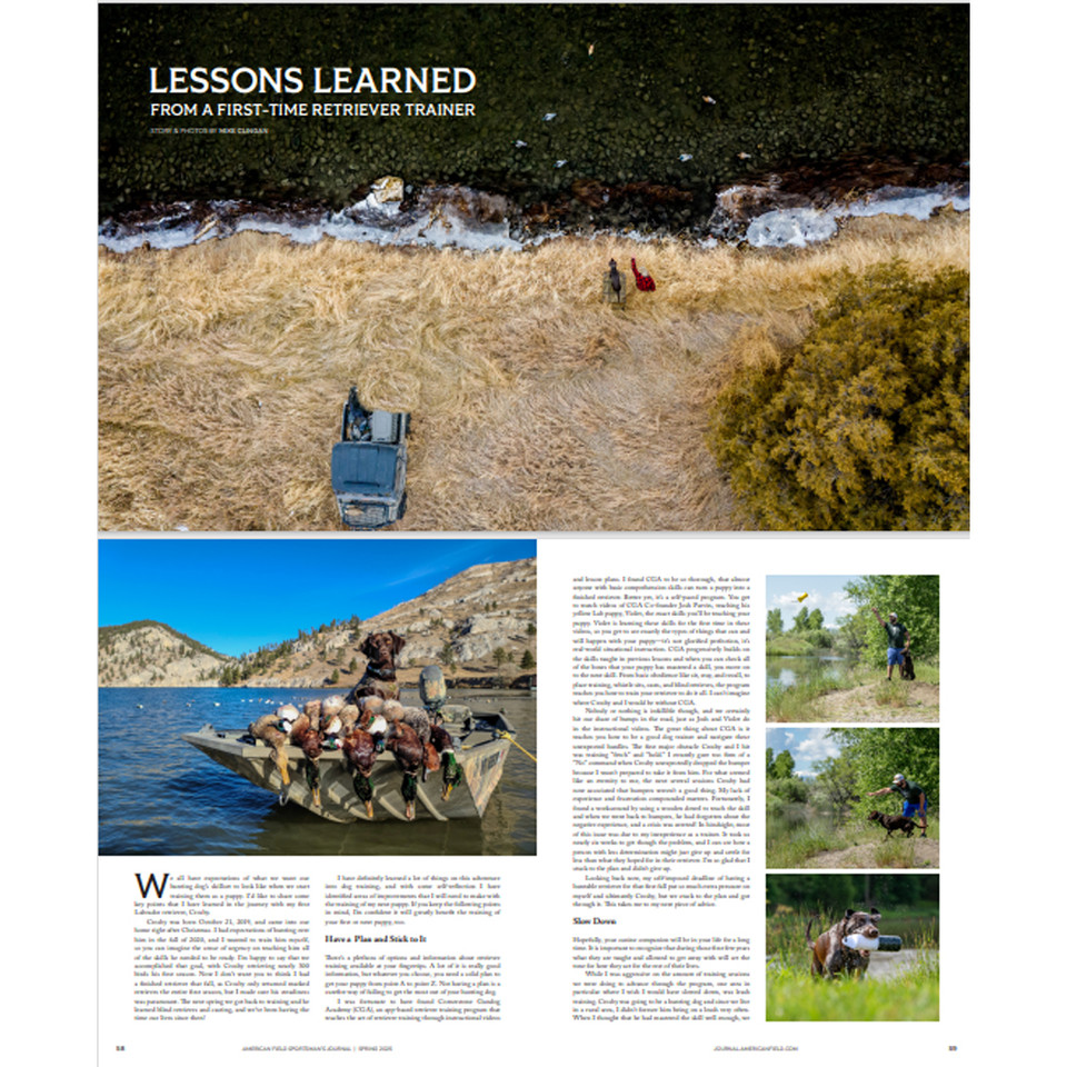 American Field Back Issues: 2025 -2026