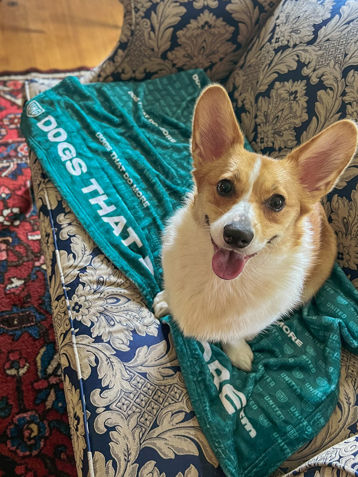 Cozy Velveteen Plush Blanket - Dogs That Do More pattern