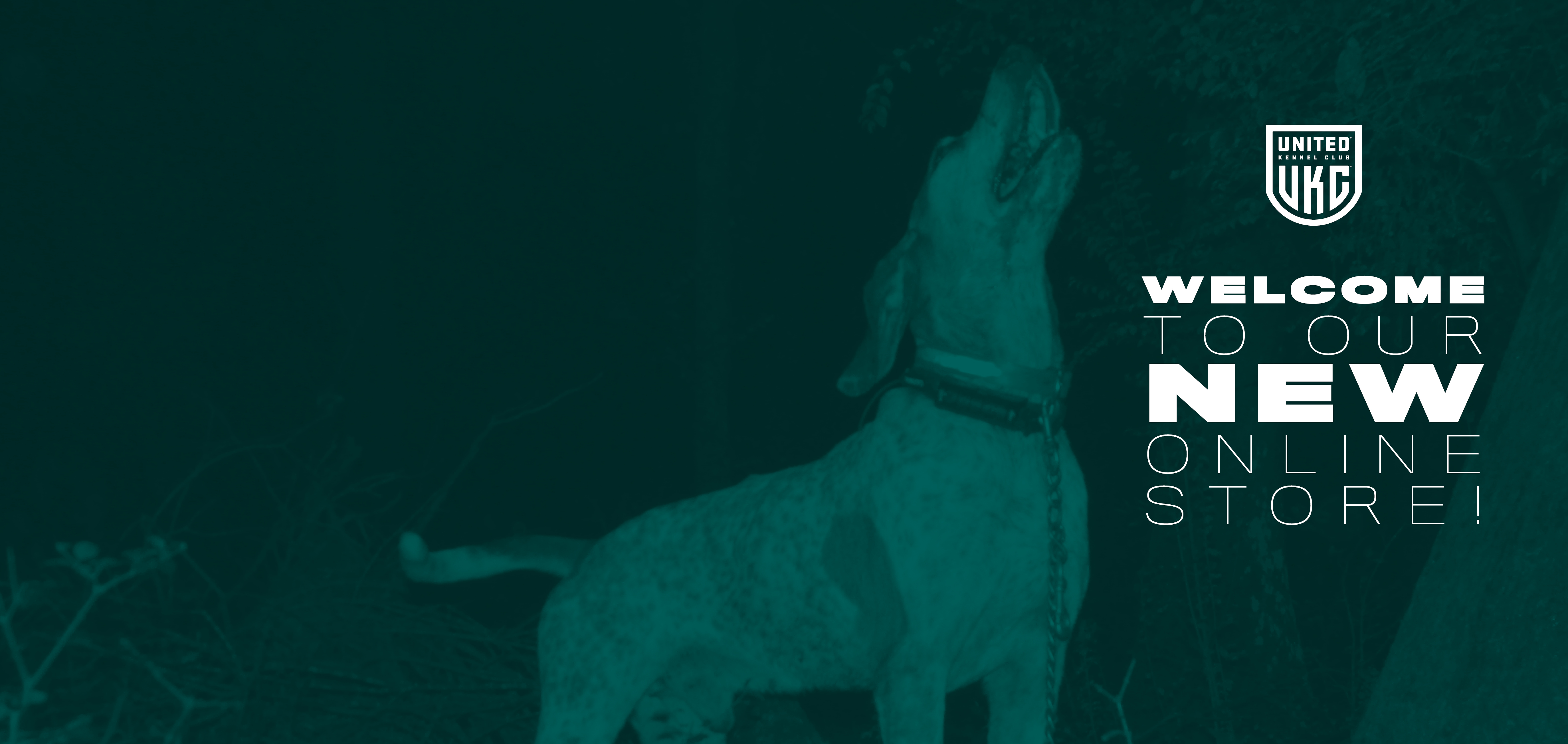 united kennel club breeds