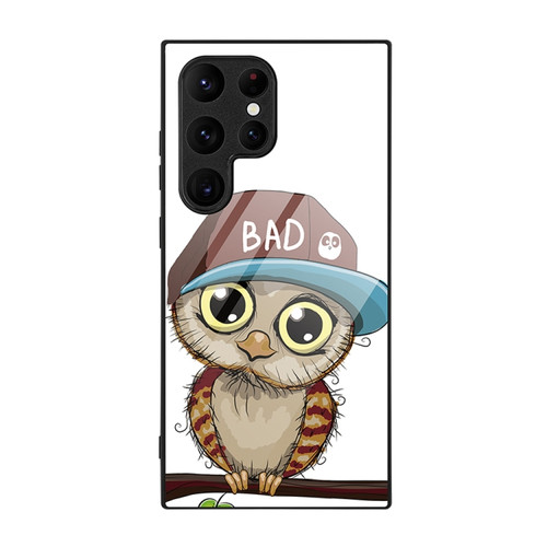 Samsung Galaxy S24 Ultra 5G Colorful Painted Glass Phone Case - Owl
