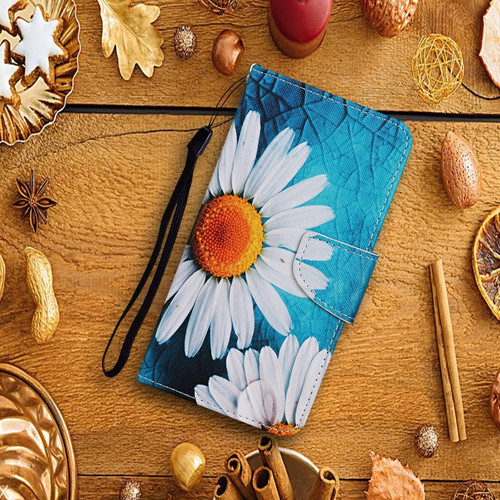 Samsung Galaxy S24+ 5G Colored Drawing Pattern Leather Phone Case - Chrysanthemum