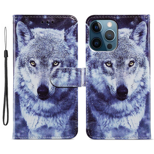 iPhone 15 Pro Max Colored Drawing Leather Phone Case - White Wolf