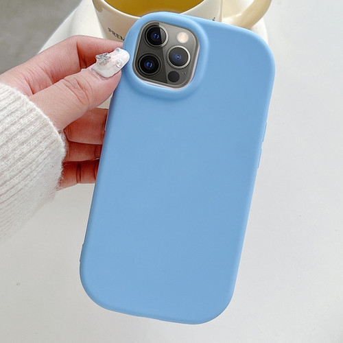 iPhone 15 Pro Max Frosted Soap Shape TPU Phone Case - Blue