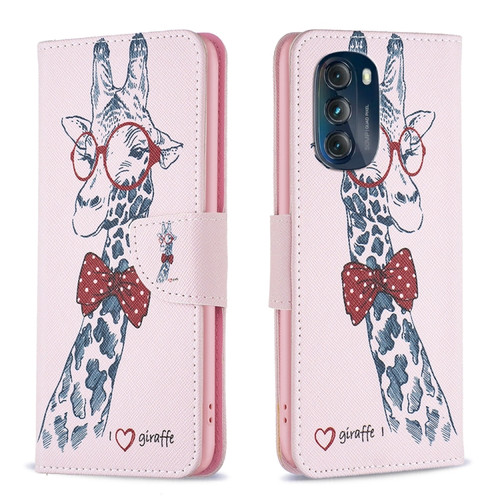 Moto G 5G 2023 Colored Drawing Pattern Leather Phone Case - Deer