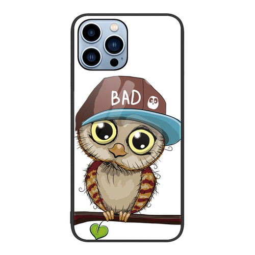 iPhone 15 Pro Max Colorful Painted Glass Phone Case - Owl