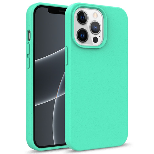 iPhone 15 Pro Max Starry Series Shockproof Straw Material + TPU Protective Case - Green