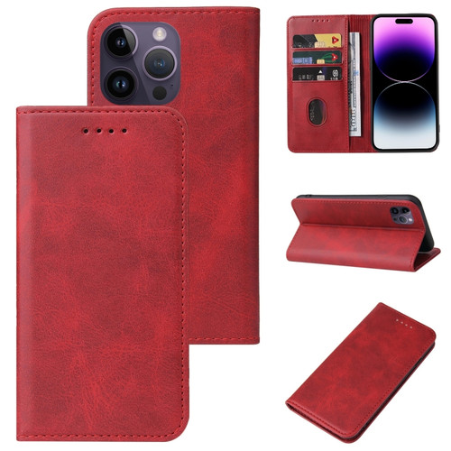 iPhone 15 Pro Magnetic Closure Leather Phone Case - Red