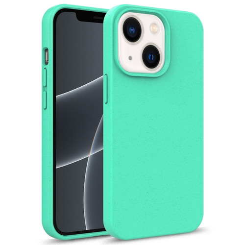 iPhone 15 Starry Series Shockproof Straw Material + TPU Protective Case - Green