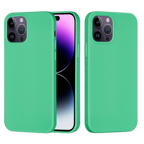 iPhone 14 Pro Solid Color Silicone Phone Case - Green